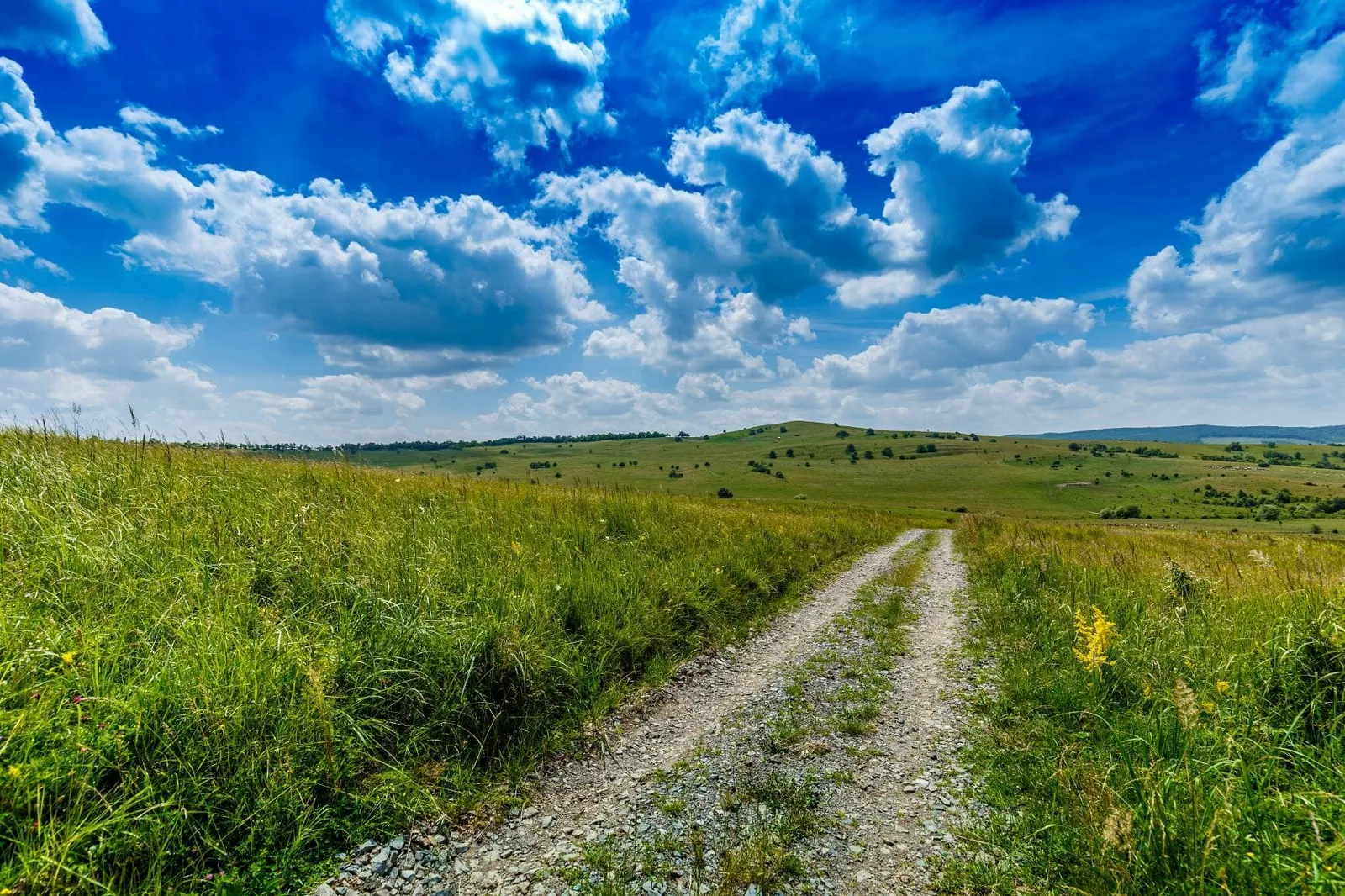 the road ahead